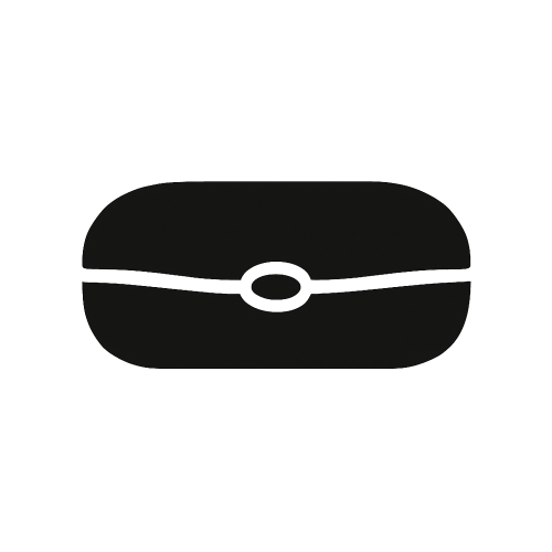 Case icon